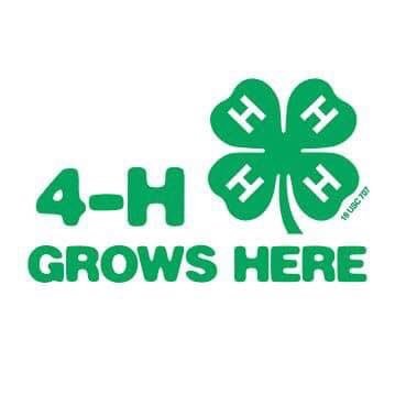 4-H Youth Development program of Cornell Cooperative Extension, Monroe County. More than cows and cooking. We are STEM, civic engagement, and more!