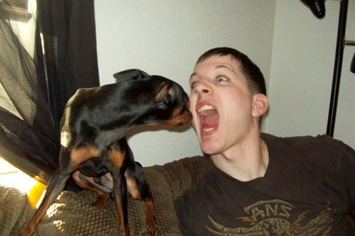 monkey222usa's profile picture. Navy veteran in southwestern PA. Married to Lisa for 6 years (Jan 2009).