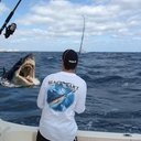 Ross Stevenson - @rstevenson31 - Twitter