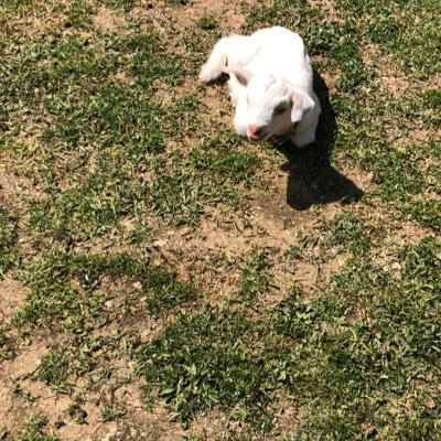 らいさんのプロフィール画像