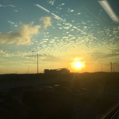 thummana's profile picture. 