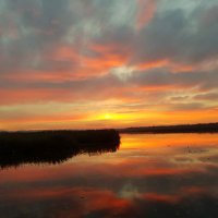 Roman Richter🇩🇪 (@romarich2) Twitter profile photo