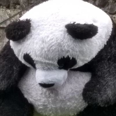 jaomedina's profile picture. 