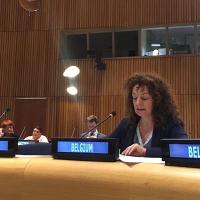 First Embassy Secretary @BEinNL 🇧🇪 🇳🇱 | Previously @BE PermRep to UN/New York (Disarm and non-prolif) 🇺🇳 | RTs not endorsements | Views strictly personal