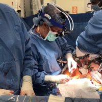 Sara Zettervall (@szettervallmd) 's Twitter Profile