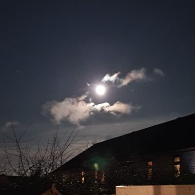 twisted_logic89's profile picture. 