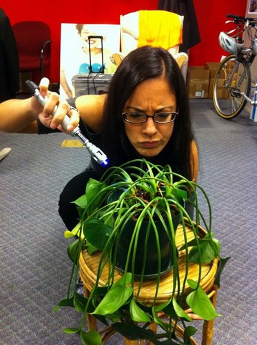 SantaFrancisca's profile picture. Loves: zombie-anything, British comedy, Post-punk/New Wave, educational equity, musical theater, Dr. Who, dessert.
Hates: red bell peppers, zealots, Lady Gaga.