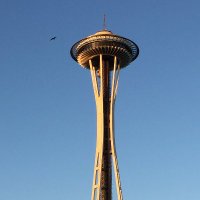 From The Heart (@mfnau) 's Twitter Profile Photo