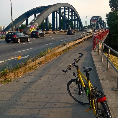 GoldenerReiter2's profile picture. 