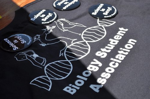 Biology Student Association. Promoting a social network for science students, mediating for faculty/students, and allocating students to research labs at CSULB.