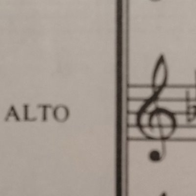 'Tis the voice of the Alto: I heard her declare
