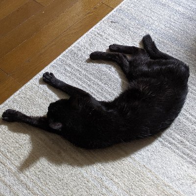 AA_Kikuro's profile picture. イイネ押しまくる。海が見たい人を愛したい。
化学分析する。乳首が4つある。猫する。漫画の日本語版と英語版を比べるのが好き。