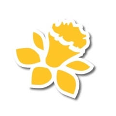 Producers of great Local Welsh Produce since 2005, inc Daffodils & Leeks