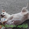 SandyKlocinski's profile picture. 