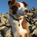 Danny Rooney - @needingsugar - Twitter