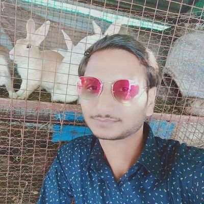 RohitYa04246577's profile picture. 
