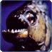 pristigaster (@pristigaster) Twitter profile photo pristigaster (@pristigaster) Twitter profile photo