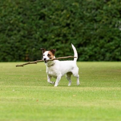 bigrobpearce's profile picture. 