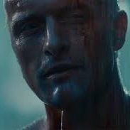 tommifinn's profile picture. 