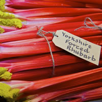rhubarb3angle's profile picture. Cultivated in Bradford, blossoming in the capital. Crumbles, Fools and Compotes. Well rooted in the BCAFC & YCCC families