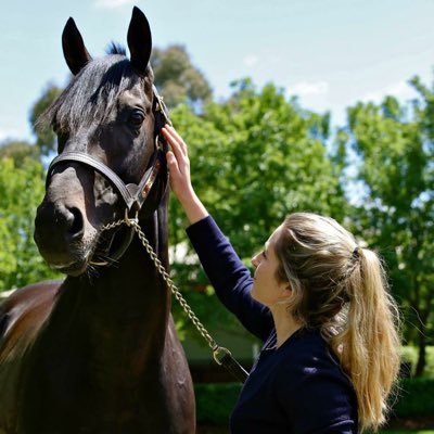 Racehorse trainer in Co. Meath. Anailísí rásaíocht capaill le @Rasai_BEO ar @sporttg4 . Racing analyst on RTÉ radio. 📸: https://t.co/FIgTGlM1o0