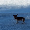 Barry Cooke - @Ipaddy73 - Twitter