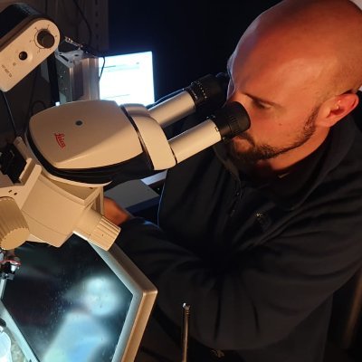 Juan Pérez Fernández Profile