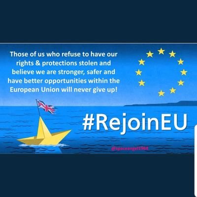 Pro European activist. keep calm and carry on FBPE. Lib Dem + Labour + Greens together we can GTTO! Blocked by Daniel Hannon!