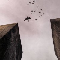 اذكار (@sadaqa3p) 's Twitter Profile