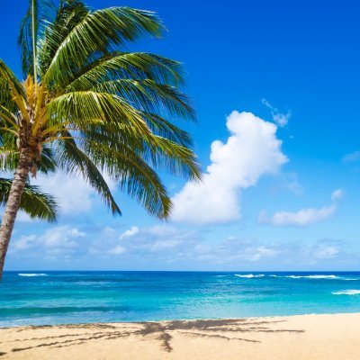 pchumwong's profile picture. 