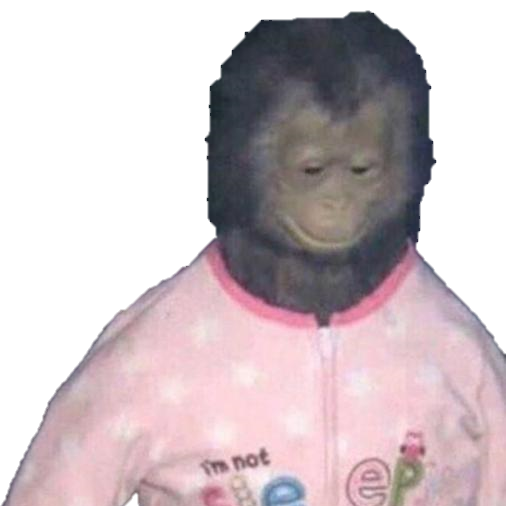 TheOnlyFollower's profile picture. I follow as many people as I can.
400 People a day.