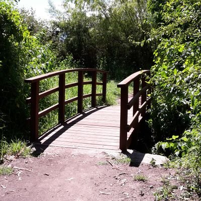 fabo_uio's profile picture. 