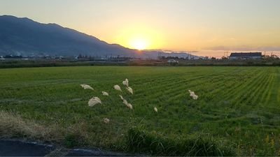 HFyZLabArJvDpZC's profile picture. 日本の風景が好き
日本の心がすき