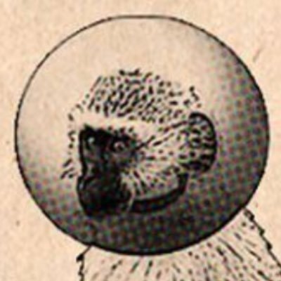 PoopyJoe16's profile picture. 