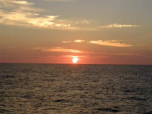 bodnarj's profile picture. 