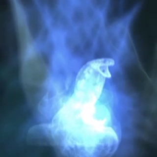 luvTonks's profile picture. I'm Nymphadora, but if you call me that, i will HEX YOU INTO OBLIVION!!!!!