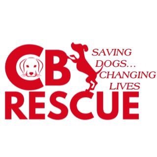 CB Rescue Foundation is a non-profit, 100% volunteer-based dog rescue in Calgary, AB. We’ve helped over 250 dogs locally and internationally! 🐾