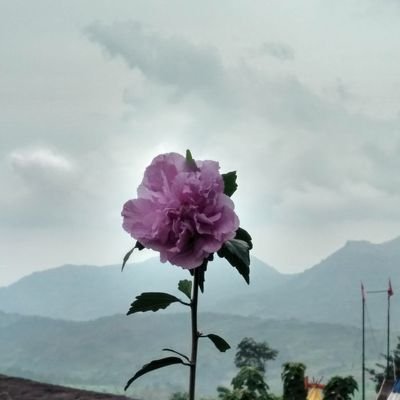 iRa_Nurlia's profile picture. Pecinta Alam Semesta beserta isinya...