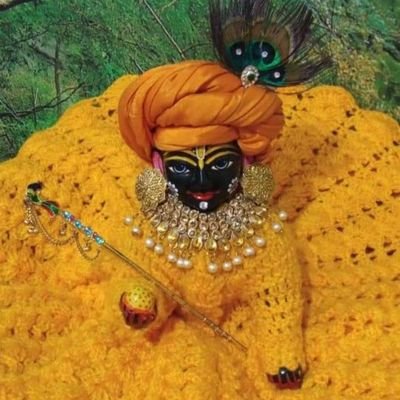 Shavi_Artha's profile picture. 