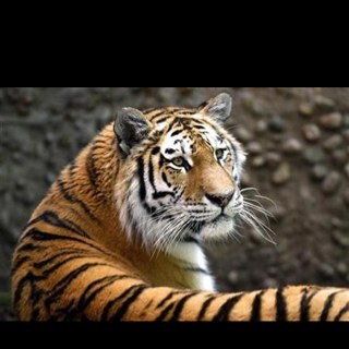 ajavierhdezl's profile picture. Aun nada que escribir a casa