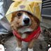 miiiiiyo (@miiiiiyo2) Twitter profile photo miiiiiyo (@miiiiiyo2) Twitter profile photo