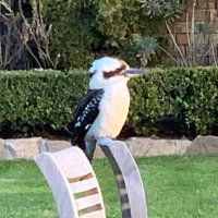 梶原 健司 （a.k.a. 一休） (@ikkyu_kp) 's Twitter Profile Photo