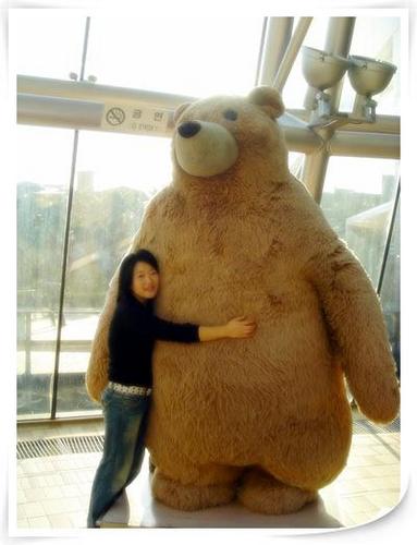 제주도를 위해, 대한민국을 위해 지금 전화해주세요!
☎ 001-1588-7715
* 1번 한국어 선택 → '삐' 소리 후 제주코드 7715입력 → 종료
* '제주' 또는 'jeju' 문자 전송