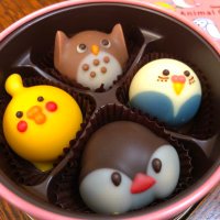 けいえむ (@binskmho) 's Twitter Profile Photo けいえむ (@binskmho) 's Twitter Profile Photo