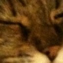 Becky Maher - @Pussecat - Twitter