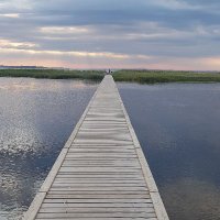 Verena Wolf (@verenawolf_) 's Twitter Profile Photo