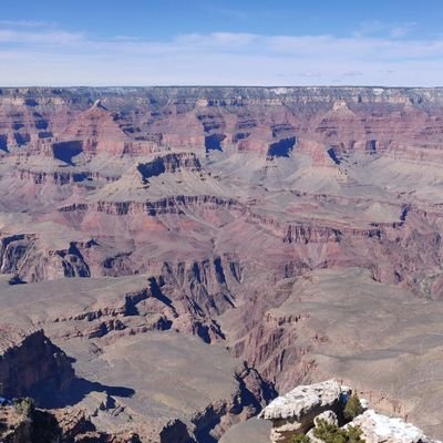 vivaestartit's profile picture. 