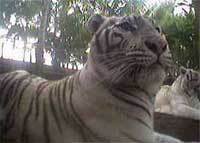 seth_delk_2010's profile picture. 