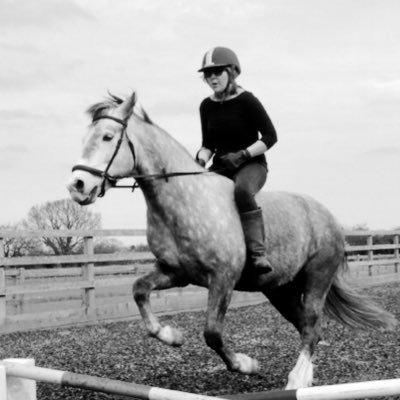 Horse owner.  Shetland pony wrangler.  Forage is the answer.