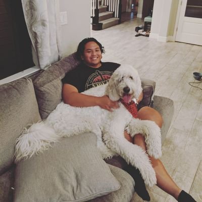 Web developer and co-founder of https://t.co/EK18l18fvk
Github: https://t.co/zP5wqDwlp6.
I also need a job :)